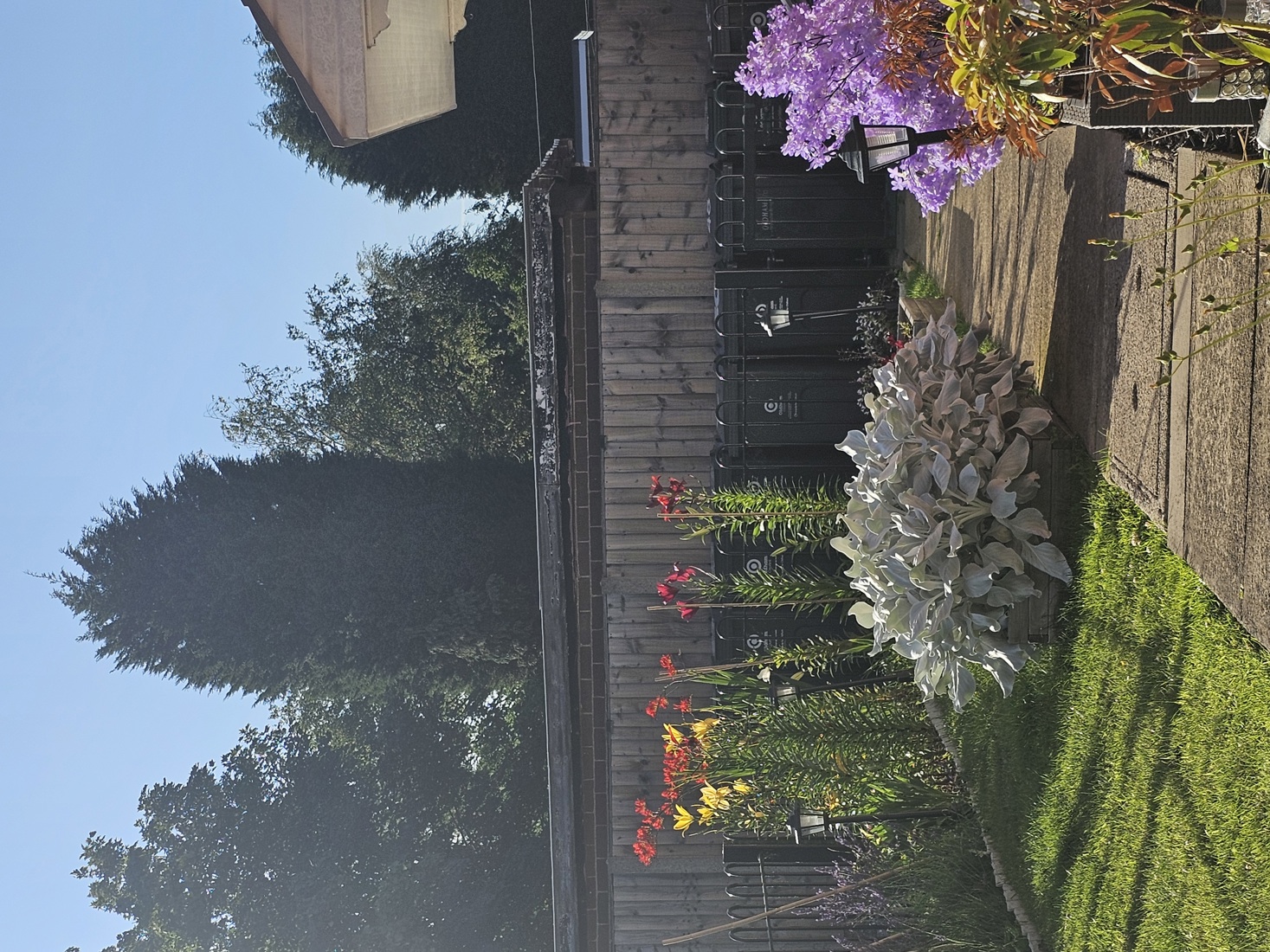 Wildlife Garden Runner Up