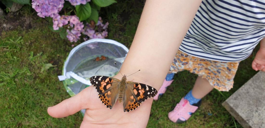 Child Holding A Butterfly