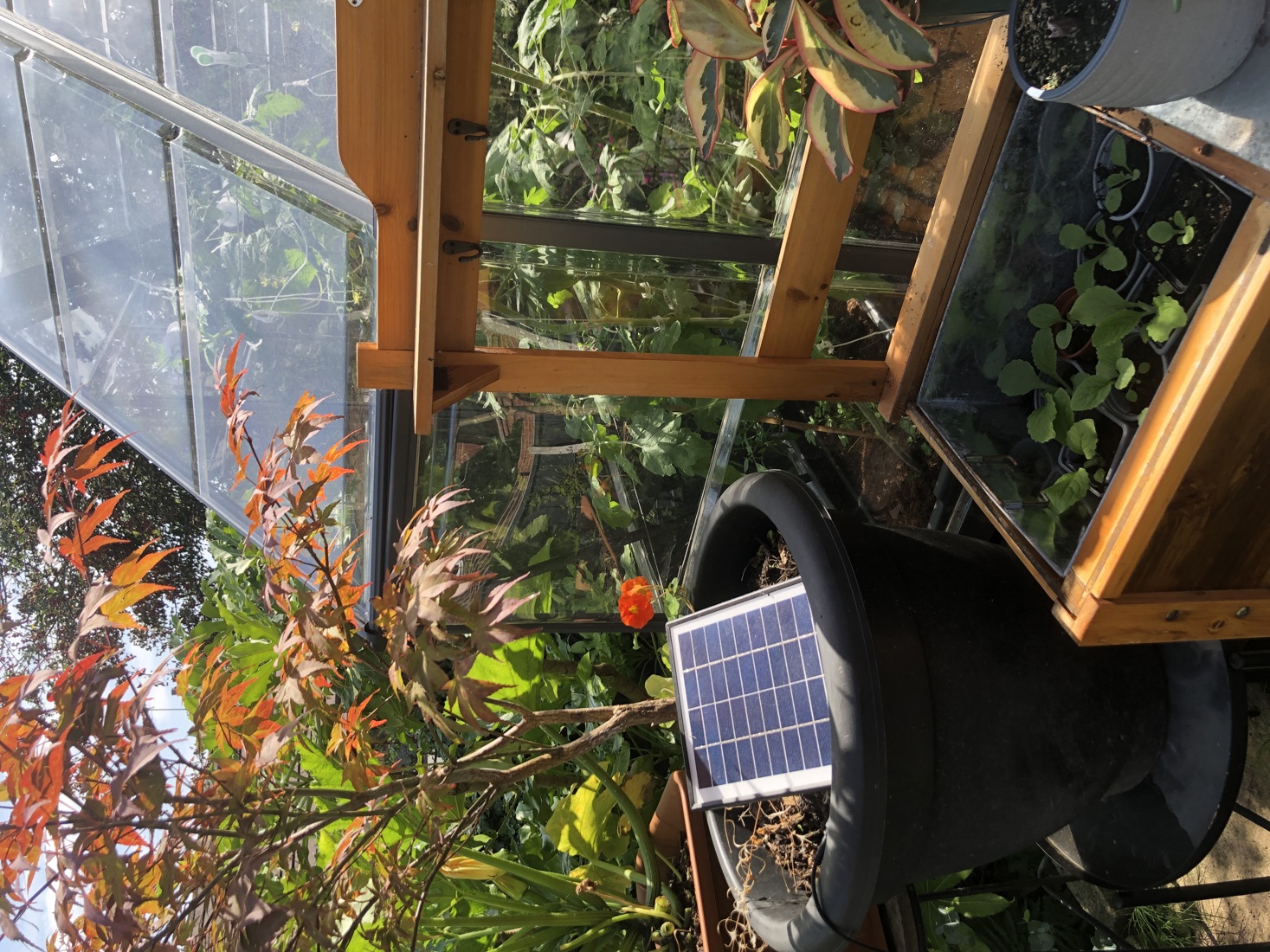 Sustainable Garden Winner