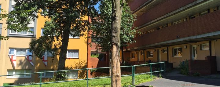 Background Image - Appeal for information after four trees vandalised on Barker Street estate