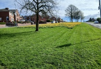 Grass Cutting And Wildflowers No Cut Zone