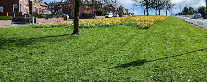 Background Image - Grass cutting has started in your neighbourhood