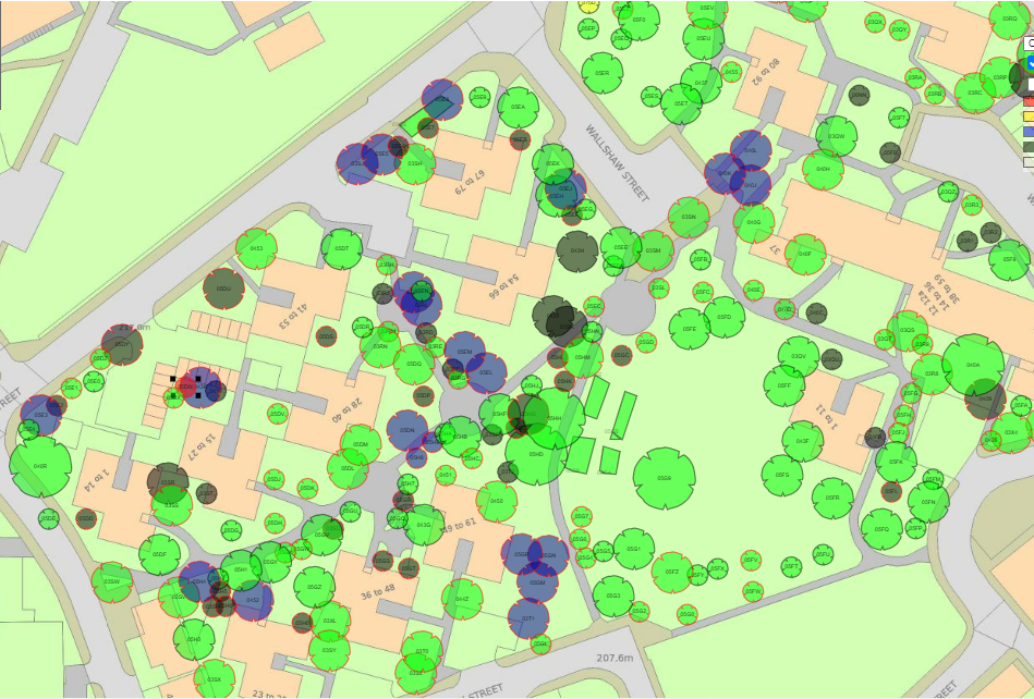 The map of the Egerton St neighbourhood shows diseased Ash trees identified in blue.