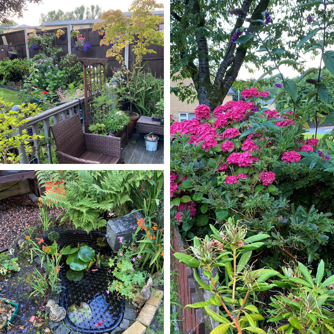 Garden Genius