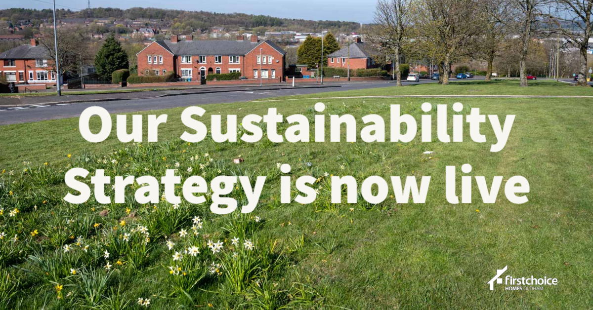 Upgrading your homes to be energy efficient, building good quality low carbon new homes and implementing greener ways of working are among our priorities set out in our Sustainability Strategy.