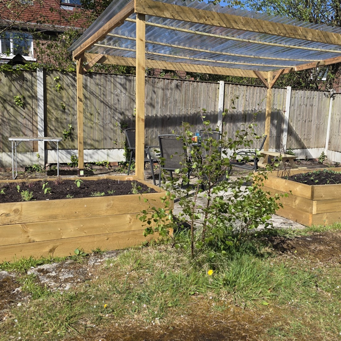 Transformation Underway Crop