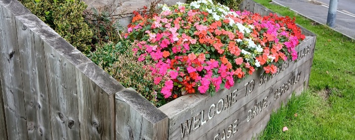 Background Image - Have Your Say: Could new community planters help make neighbourhoods greener?