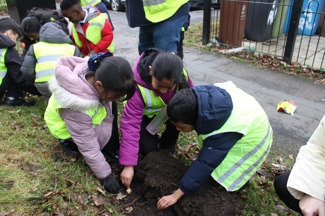 Pupils At Richmond Academy Planting Bulbs On Richmond Walk
