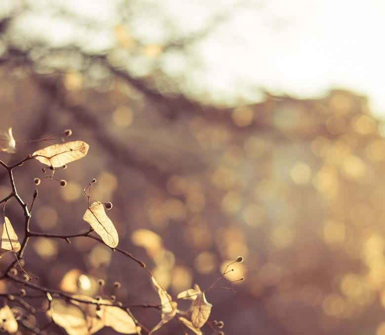 Background Image -
