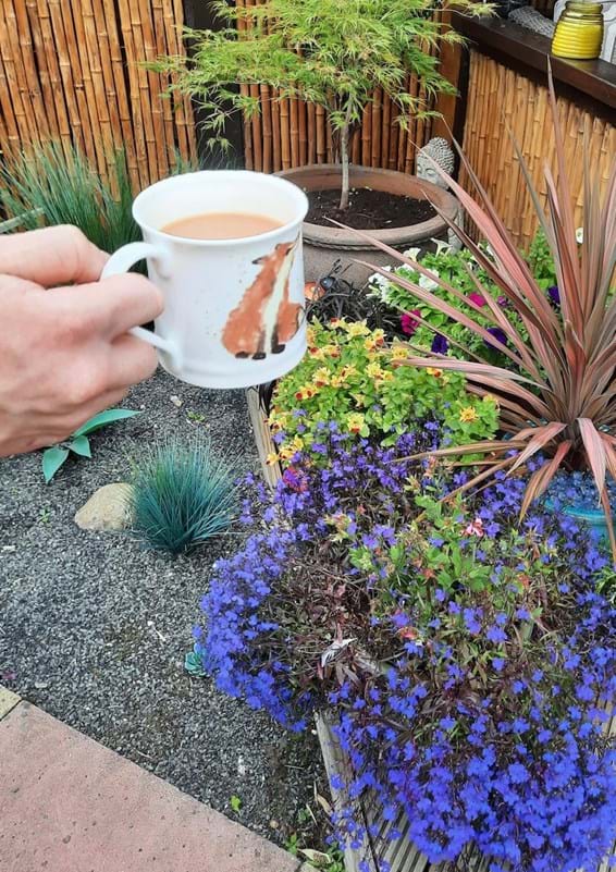 Blue Flowers And Mug