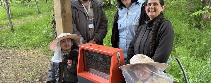 Background Image - Bee-lievin' in biodiversity: we help local communities create a buzz for World Bee Day