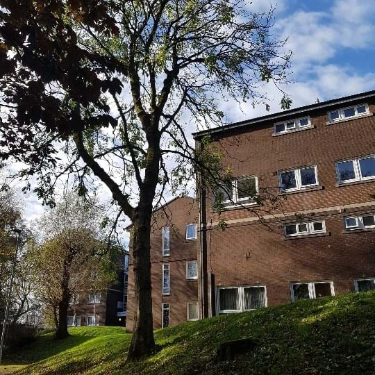 Today work starts on around 25 Ash trees in the Egerton St neighbourhood infected with Ash dieback