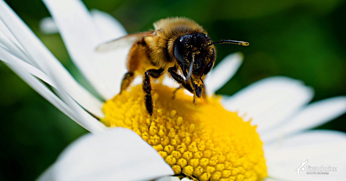 Our Neighbourhood Care team has upped its work this summer to make your neighbourhoods even more nature friendly.